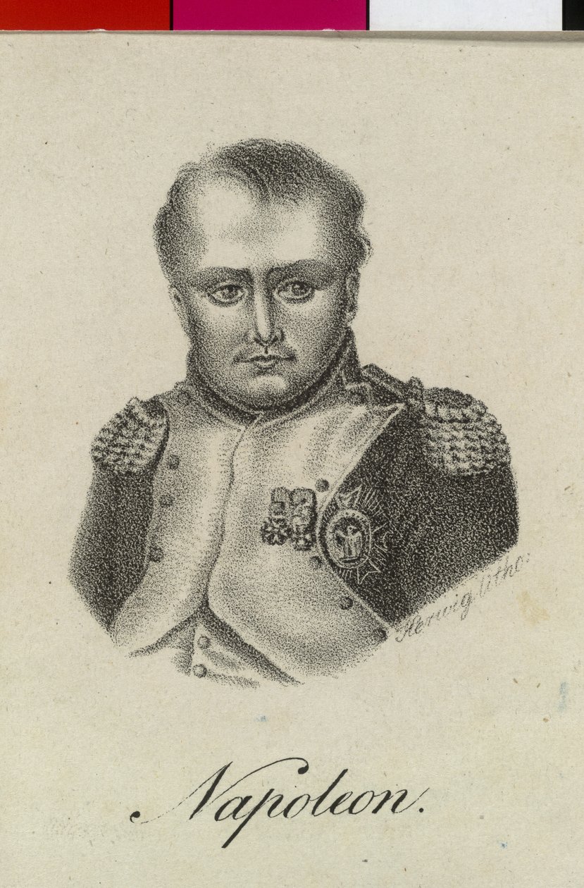 Francouzský císař Napoleon I. Bonaparte od Artist Unknown