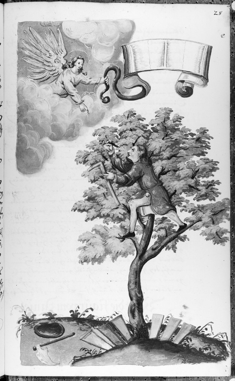 Folio 28 codex 11134 od Artist Unknown