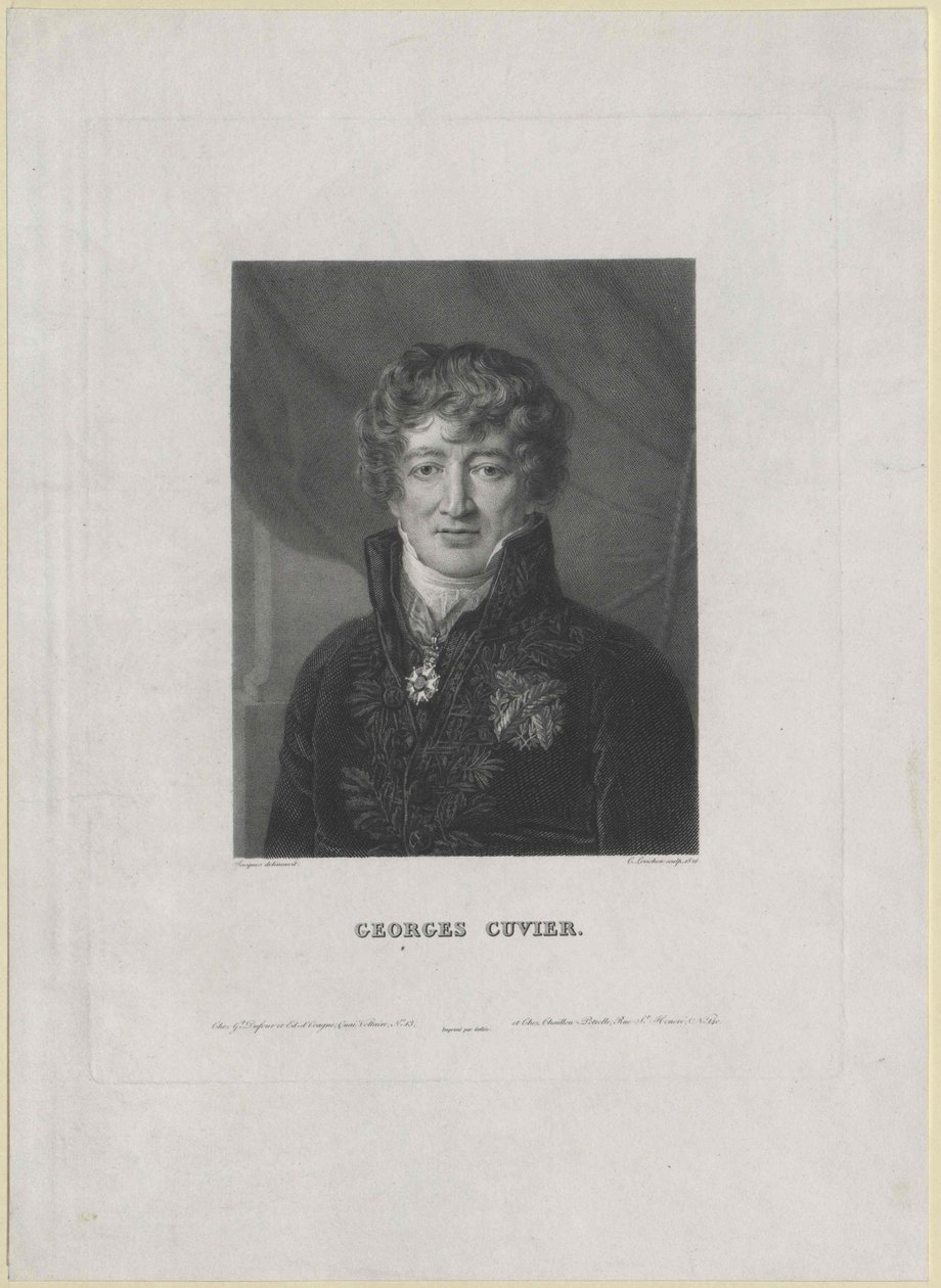 Georg Cuvier (tisk) od Artist Unknown