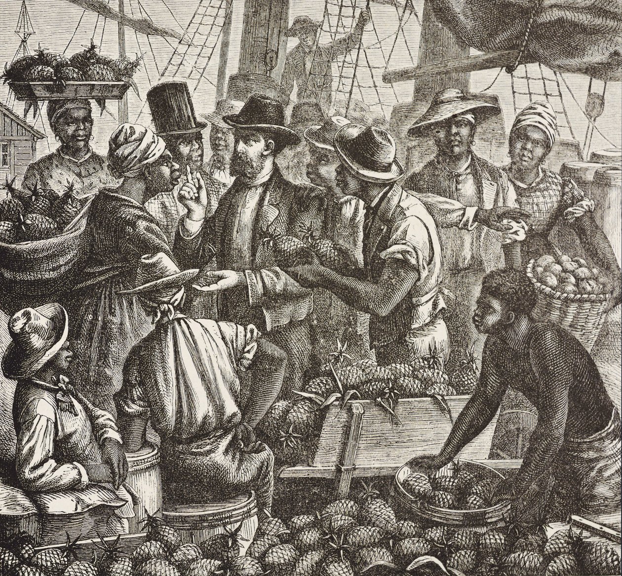 Dějiny Anglie (C19th). Kolonizace (1880). Bahama prodává ananasy. Anglická kolonie na ostrově New Providence. Ananasy byly jedním z produktů na vývoz z přístavu Nassau, nejdůležitější. Rytina. Soukromá sbírka od Artist Unknown