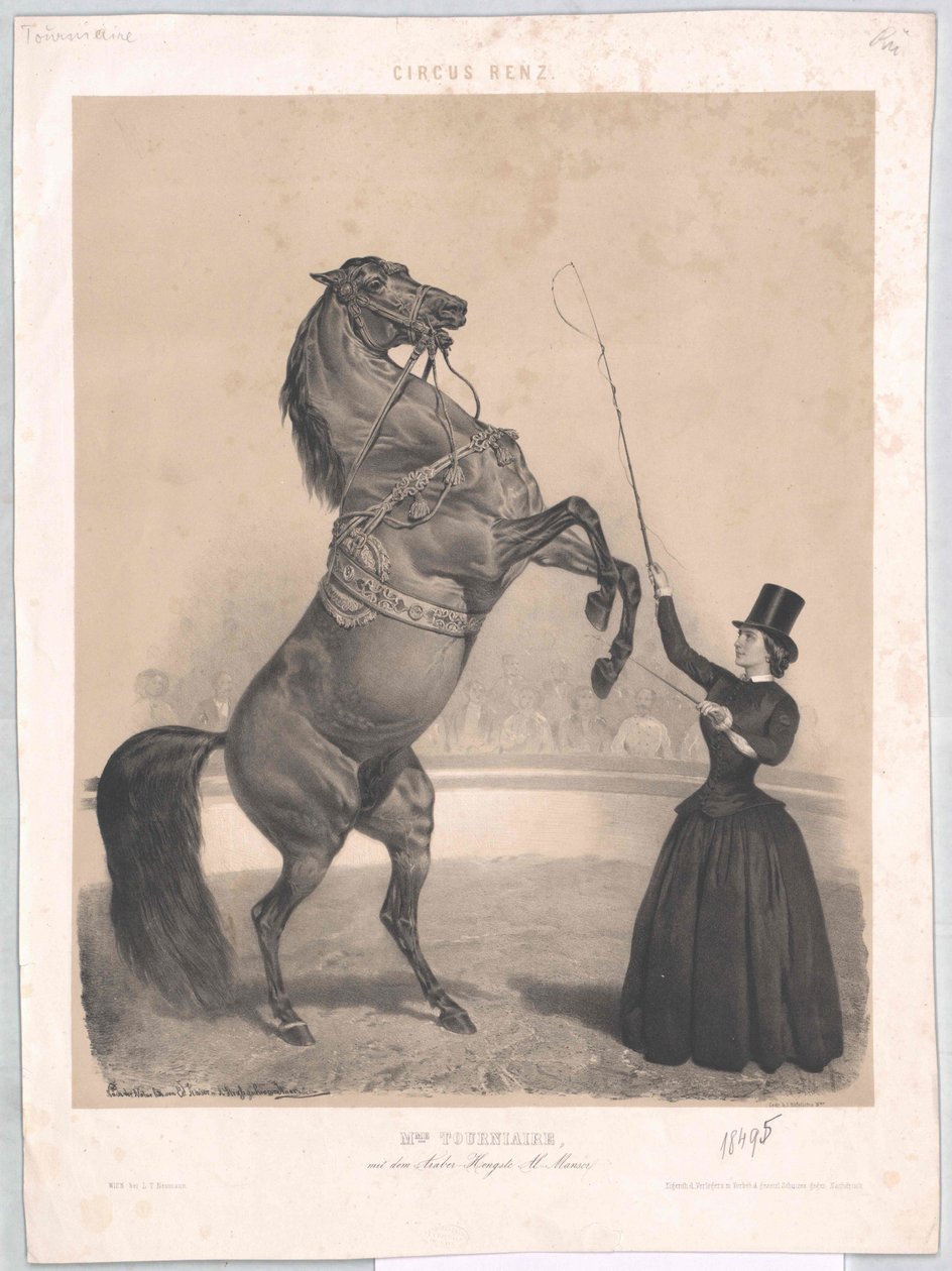 Žil kolem roku 1860 Tourniaire od Artist Unknown