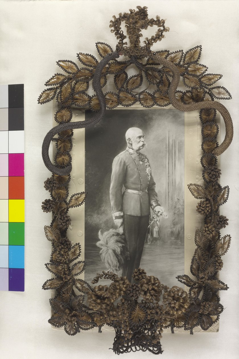císaře Františka Josefa I. Císař František Josef I. od Artist Unknown