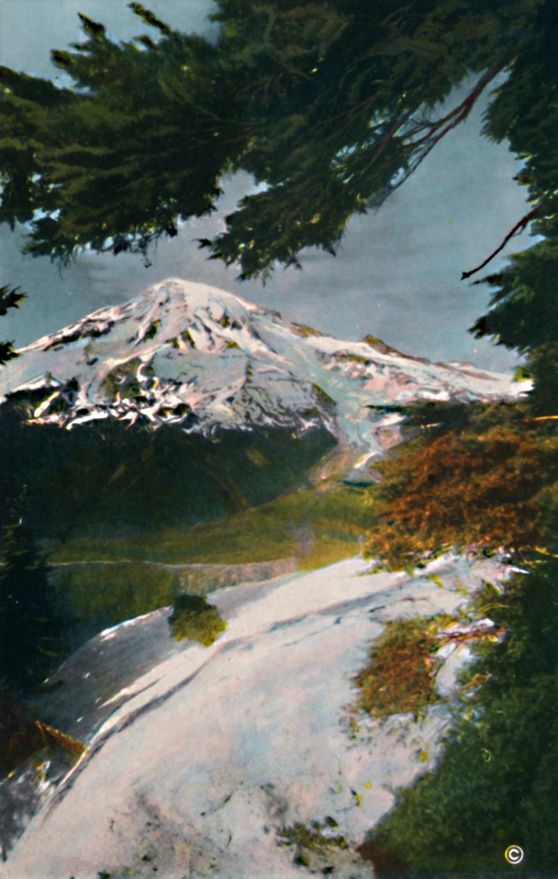 Mount Tacoma z Eagle Peak, Washington, c1916 od Asahel Curtis