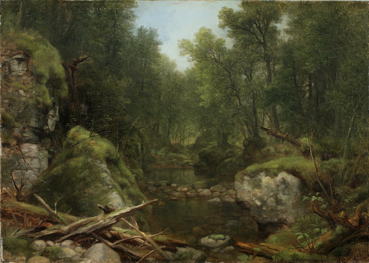 Chapel Pond Brook, Keene Flats, Adirondack Mountains, N.Y., 1870 od Asher Brown Durand