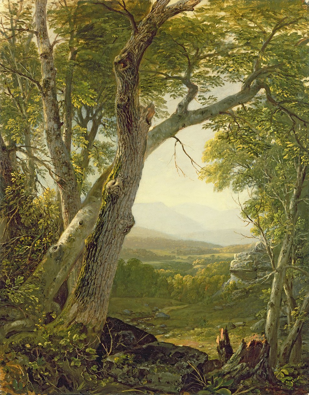 Shandaken Ridge, Kingston, New York, kolem roku 1854 od Asher Brown Durand