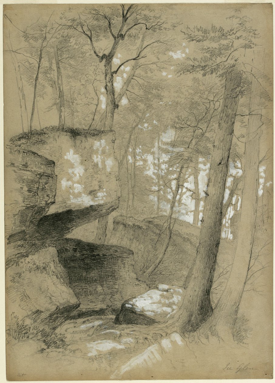 Study Rocks and Trees in Ice Glen, Stockbridge, Massachusetts, 1851 (grafit a bílý kvaš na béžovém papíře) od Asher Brown Durand