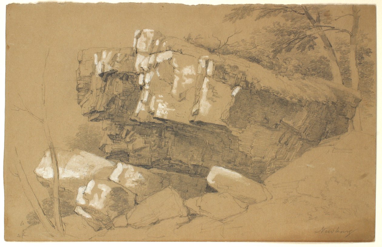 Studie skal, Newburgh, New York, 1849 (grafit a bílý kvaš na hnědém papíře) od Asher Brown Durand