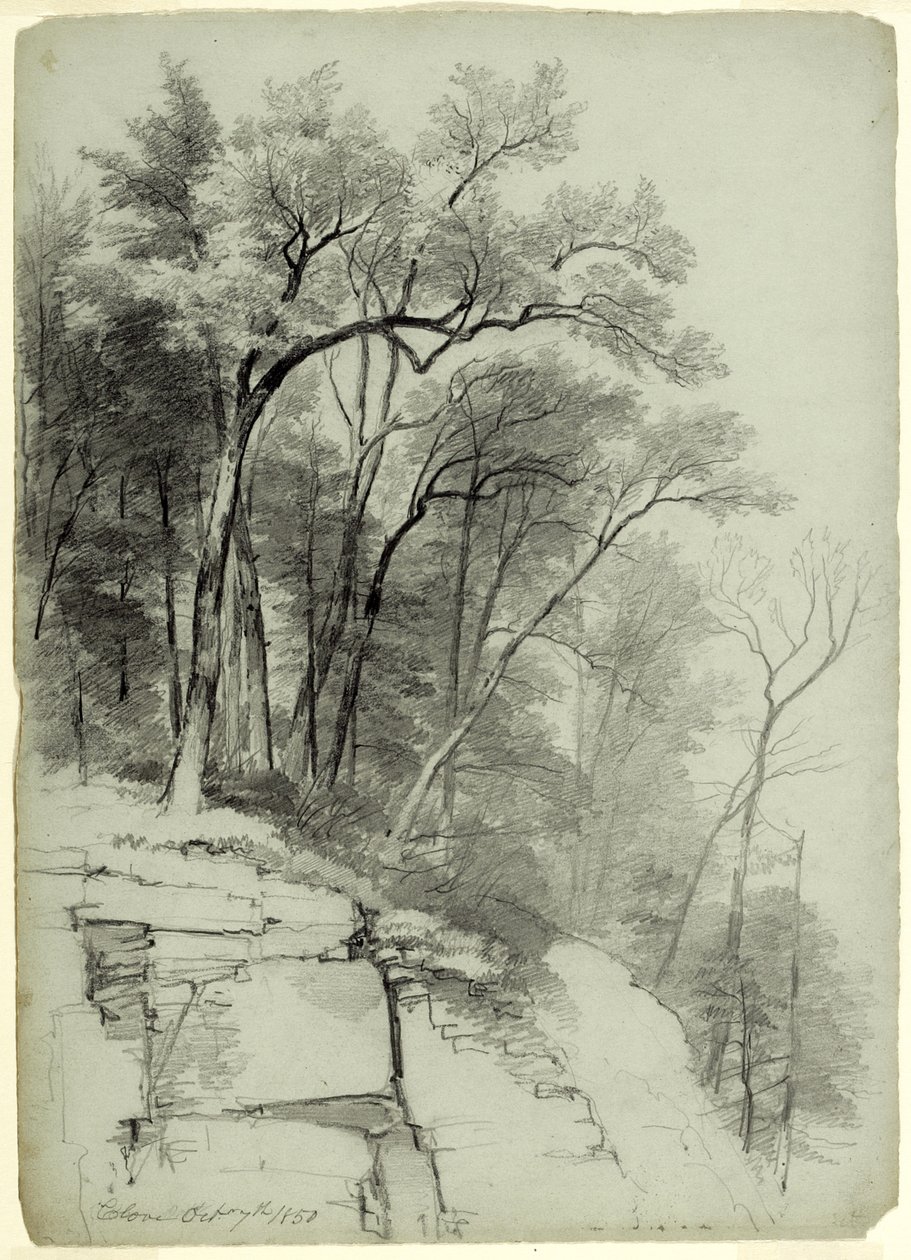 Study of Trees and Rocks, Catskill Clove, New York, 1850 (grafit na šedozeleném papíře) od Asher Brown Durand