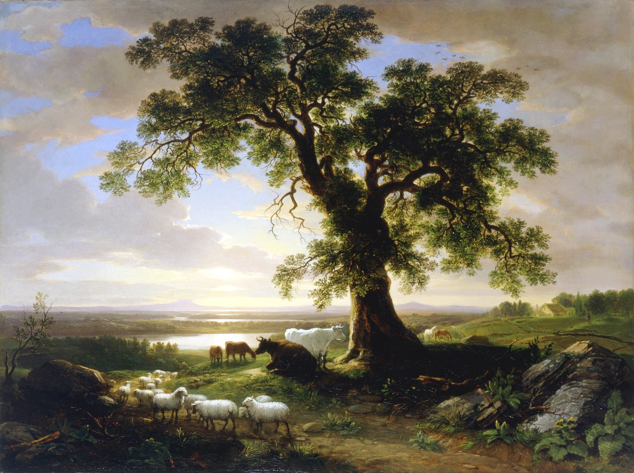 The Solitary Oak The Old Oak, 1844 od Asher Brown Durand