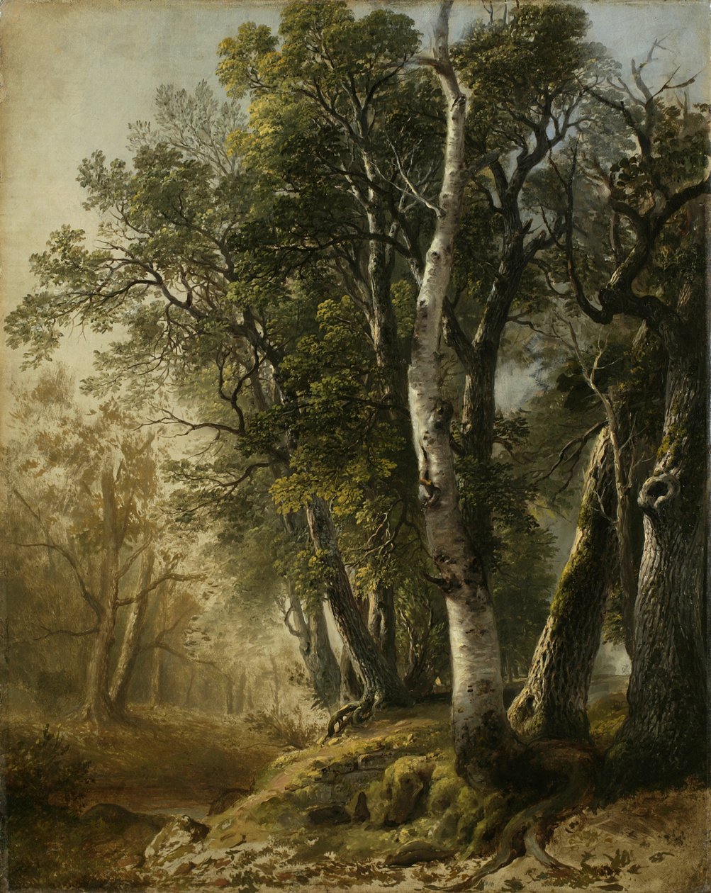 Trees by the Brookside, Kingston, N.Y., 1846 (olej na plátně) od Asher Brown Durand