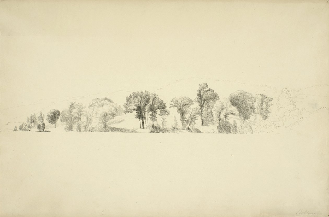 Stromy na břehu jezera George, Bolton, New York, 1863 (grafit na papíře) od Asher Brown Durand