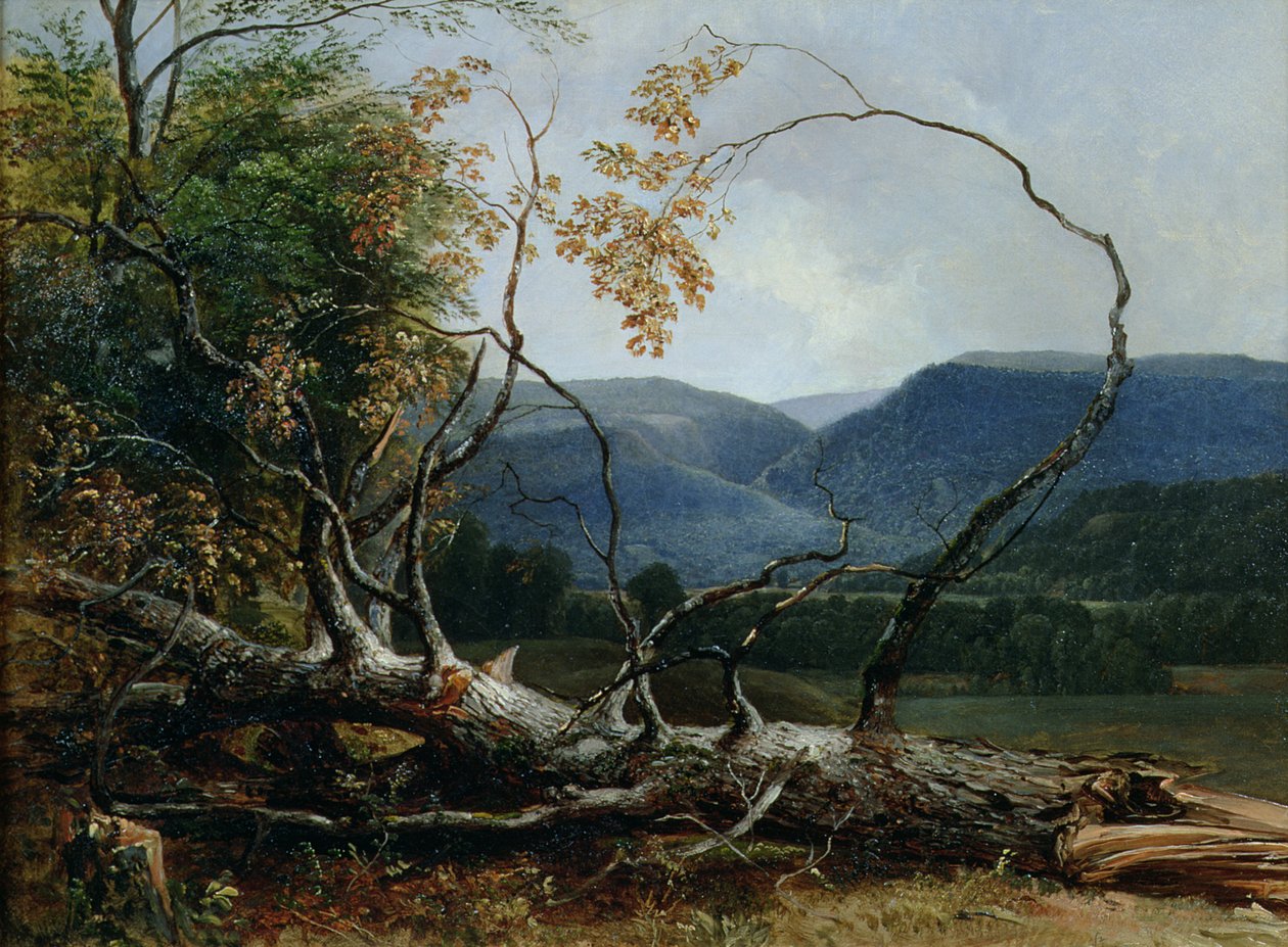 Stratton Notch, Vermont od Asher Brown Durand