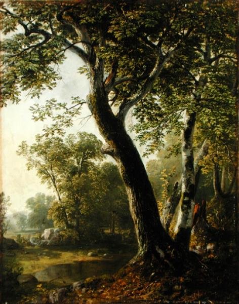 Studium v Marbletown, Ulster County, New York, kolem roku 1845 (olej na plátně) od Asher Brown Durand