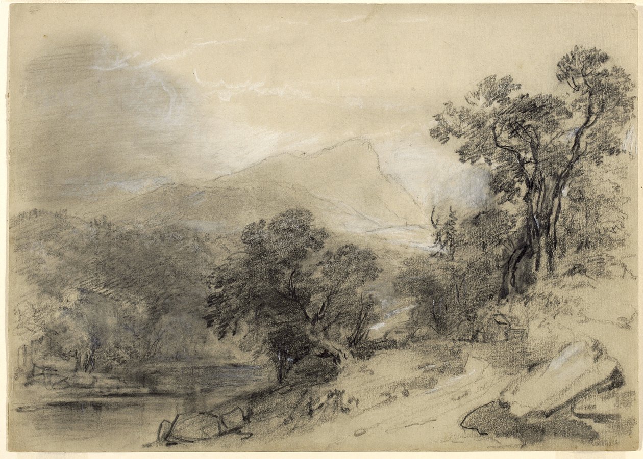 Studie for Landscape-Composition: In the Catskills, 1848 (grafit, bílá křída, dřevěné uhlí a bílý kvaš s škrábáním a tupováním na khaki papíře) od Asher Brown Durand