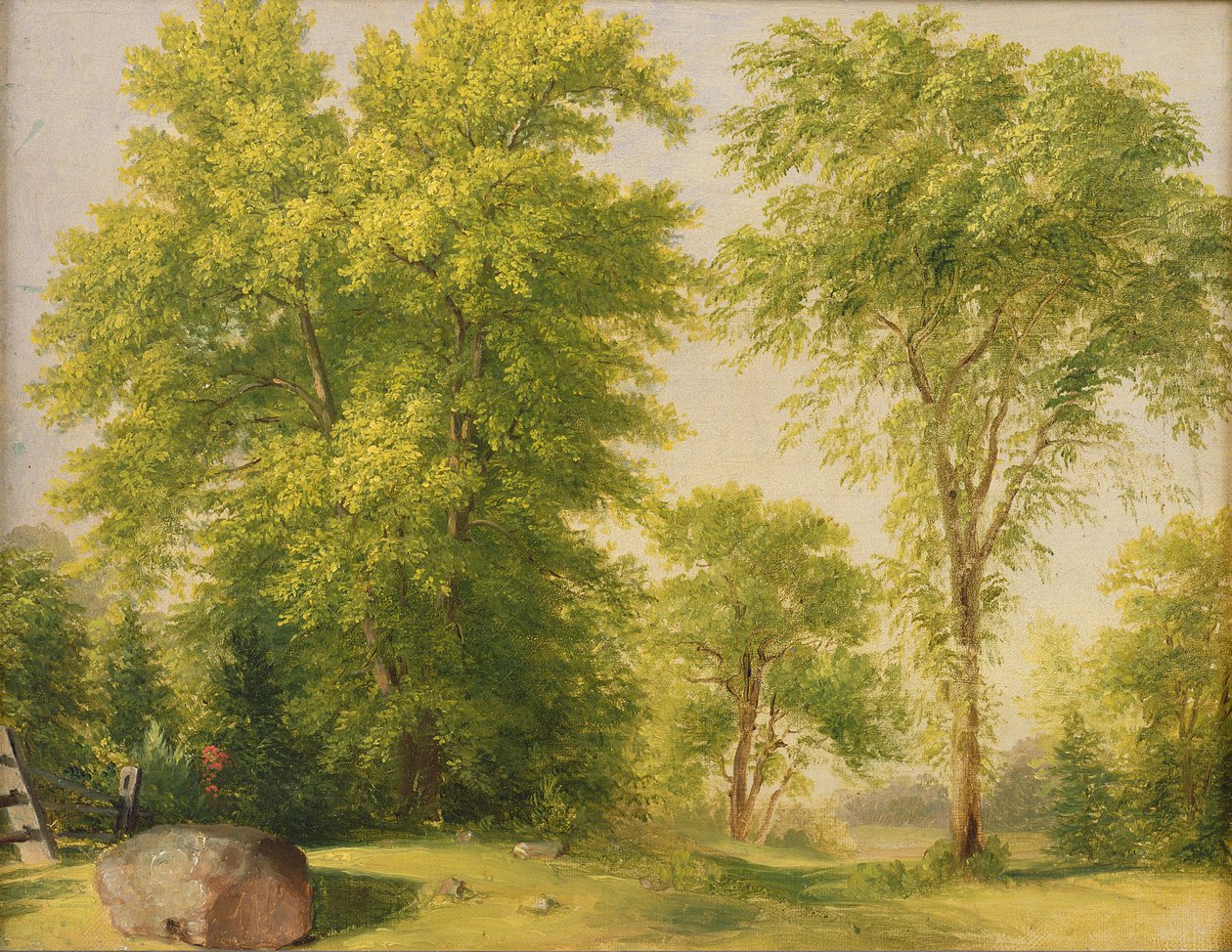 Studie z přírody, Hoboken, New Jersey, asi 1834 od Asher Brown Durand