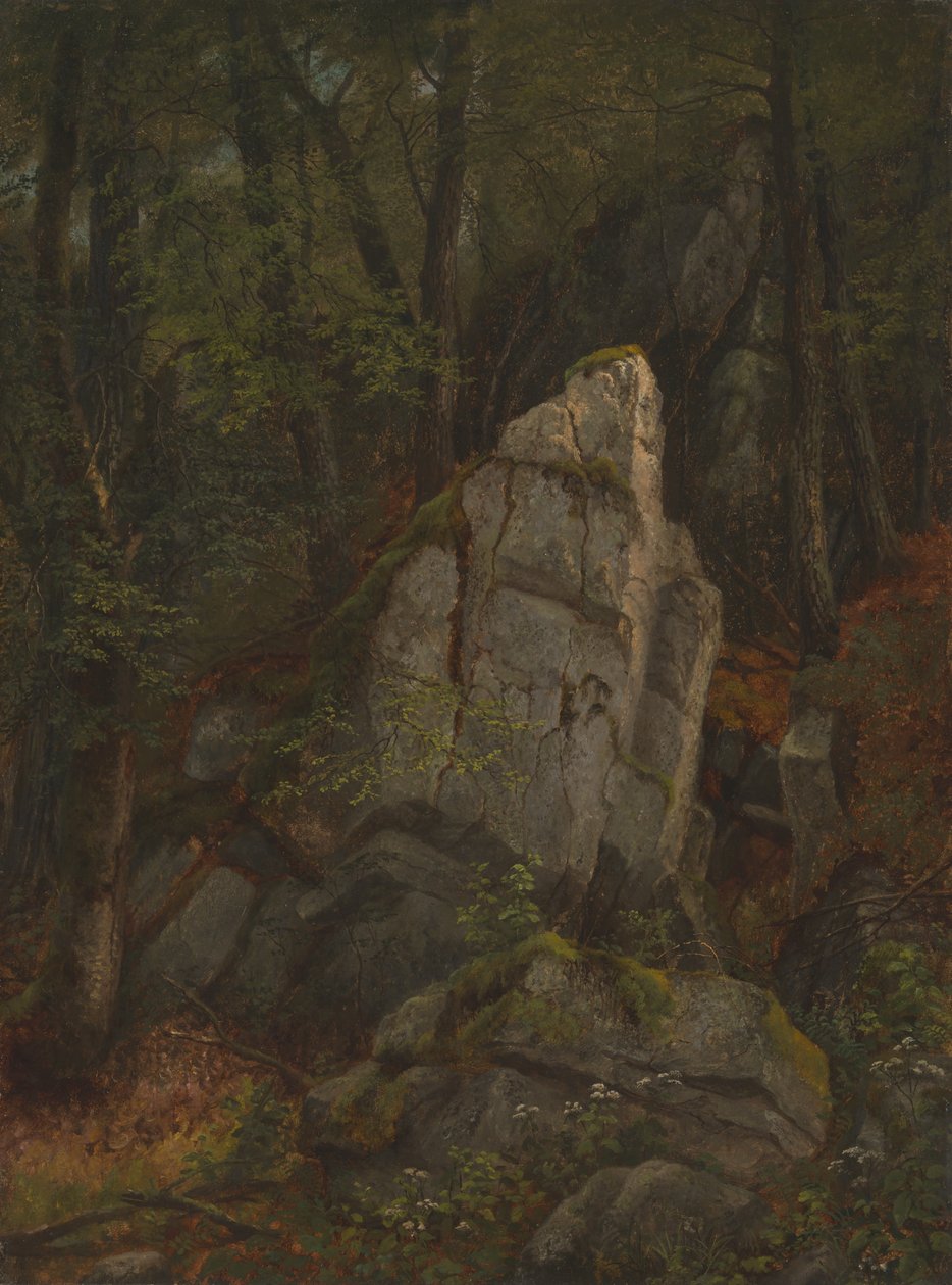 Studie hornin v Pearsonově rokli od Asher Brown Durand