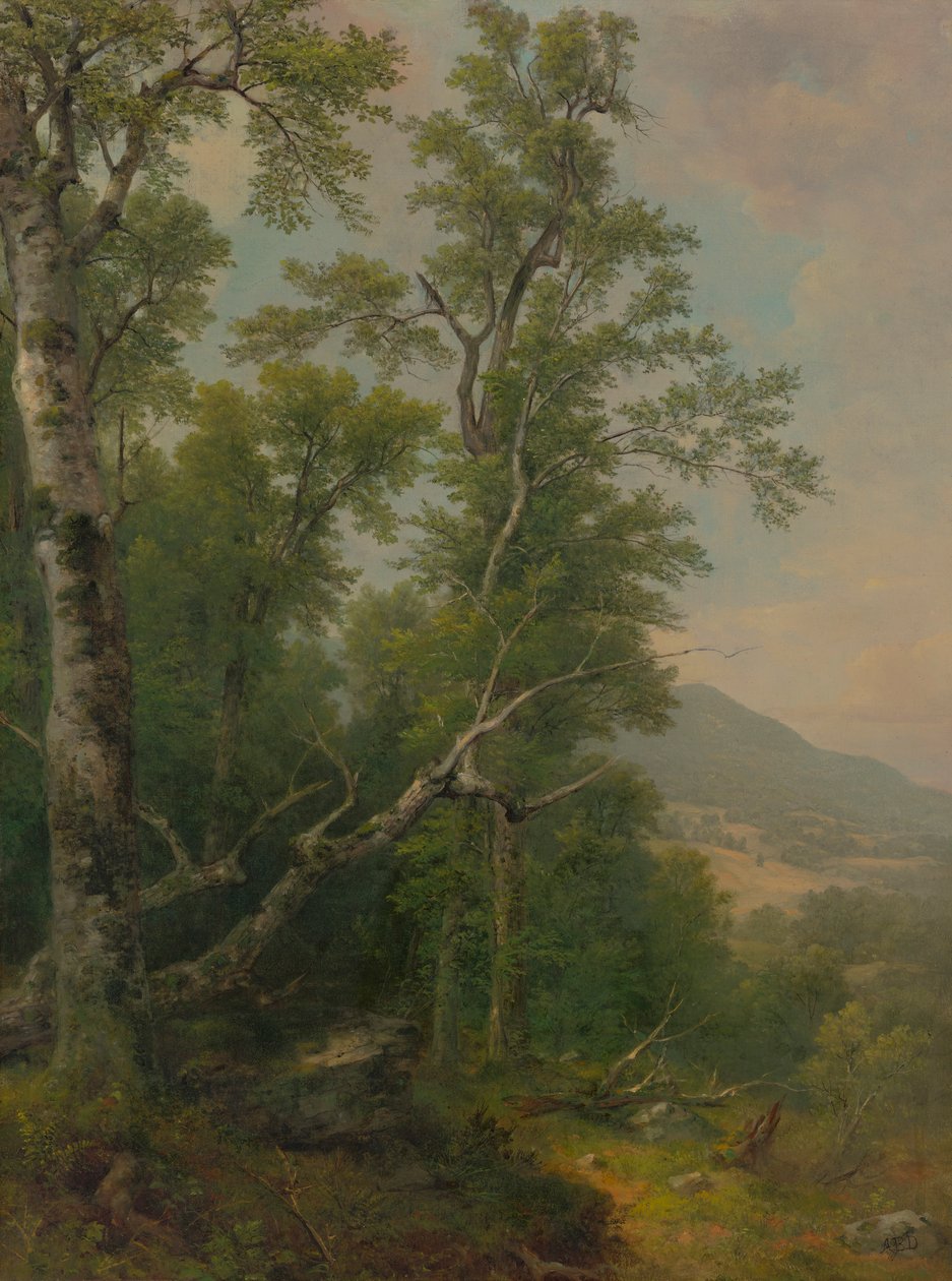 Studium stromů od Asher Brown Durand