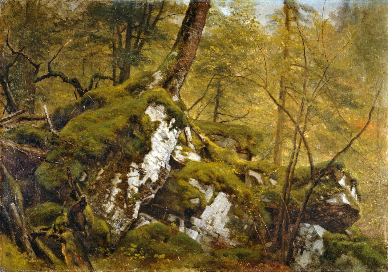 Studie dřevěného interiéru, c.1855 od Asher Brown Durand