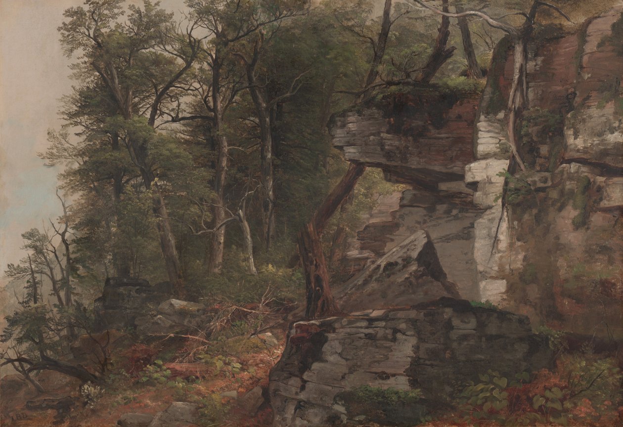 Stromy na skalnatém svahu, c.1849 od Asher Brown Durand