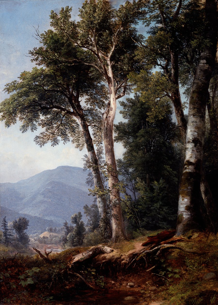 Lesní krajina, asi 1850 (olej na plátně) od Asher Brown Durand