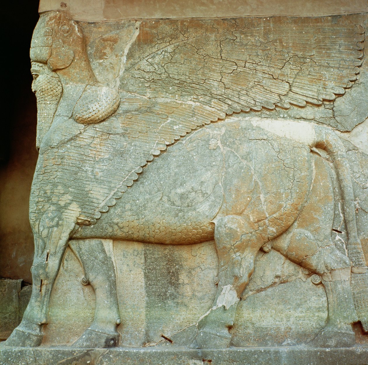 Basreliéf antropomorfního býka od Assyrian