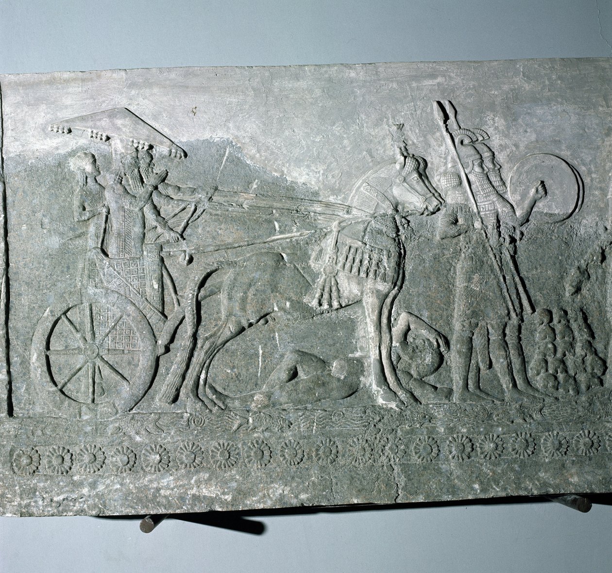 Sargon II (721-705 př.nl) na bitevním voze, z paláce Sargon II v Khorsabad, Irák od Assyrian
