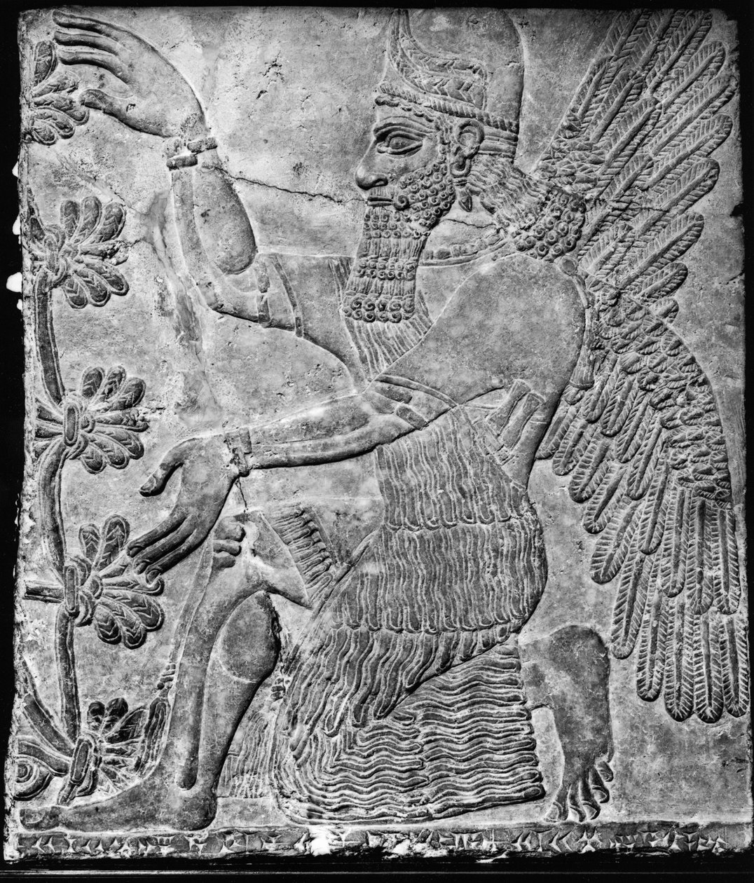 Okřídlený džin uctívající posvátný strom z paláce v Nimrudu od Assyrian