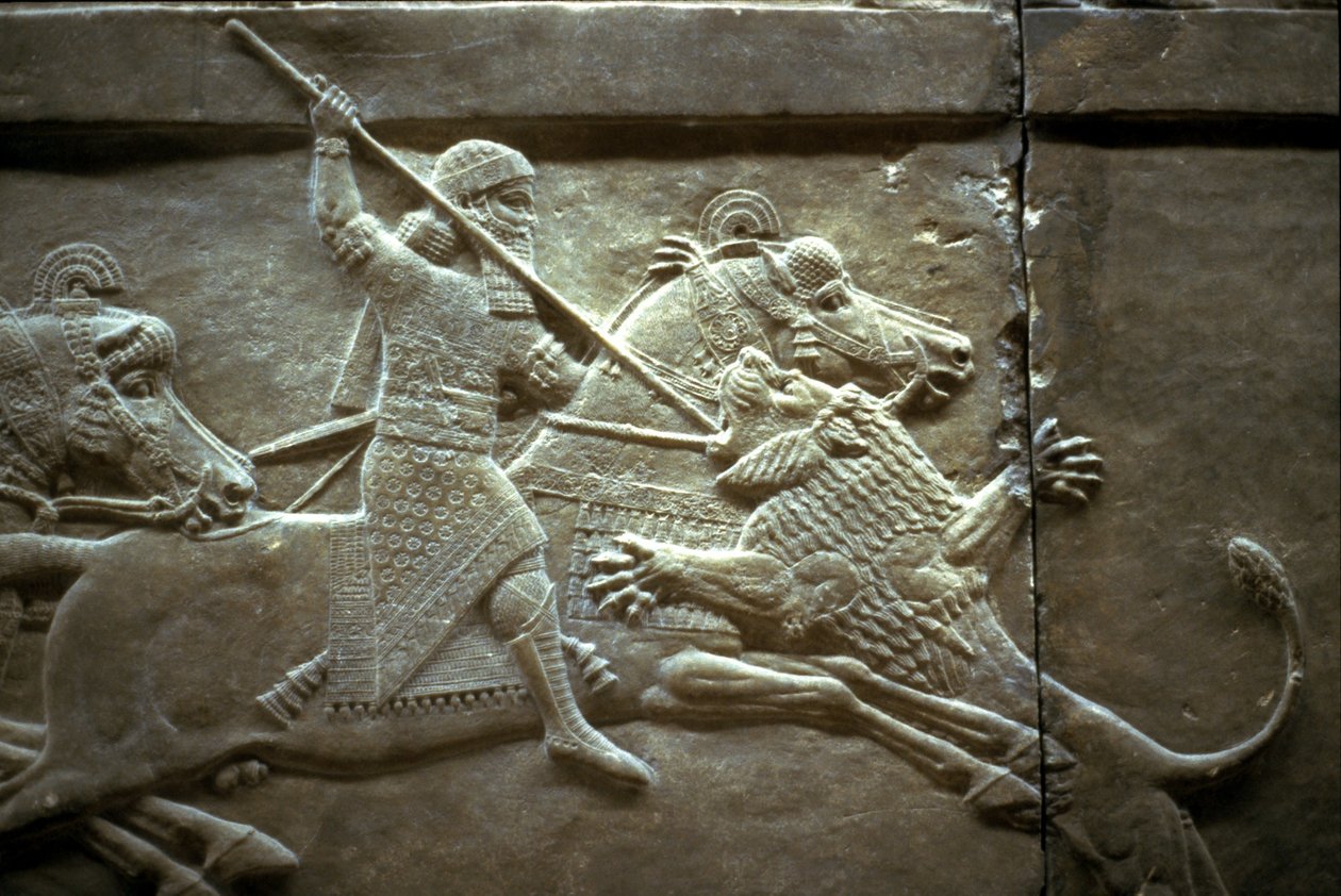 Král Ashurnasirpal II během královského lovu na lva, 650-620 př.nl od Assyrian