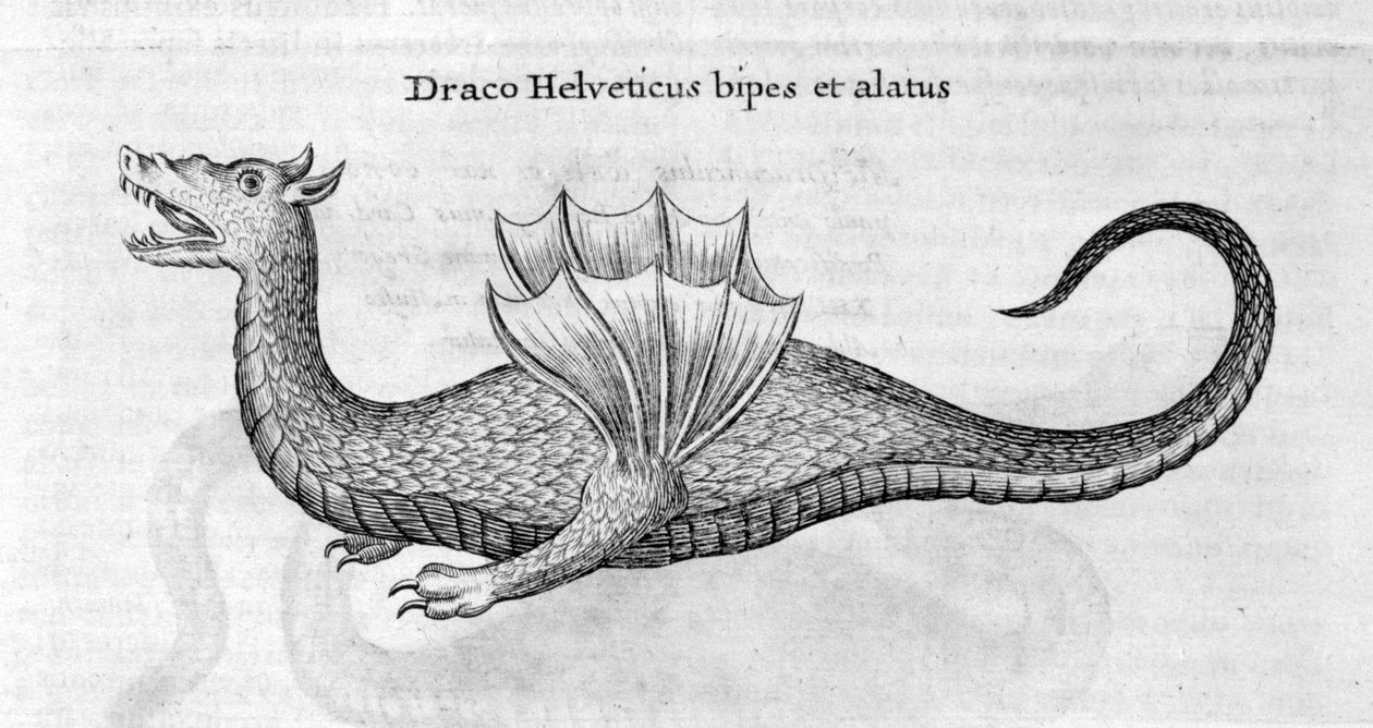 Drak, 1678 od Athanasius Kircher
