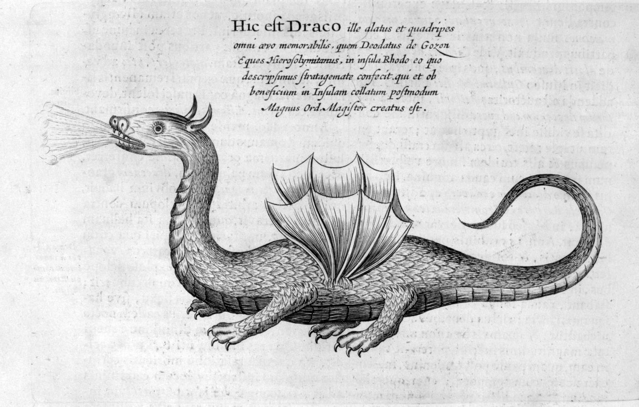 Drak, 1678 od Athanasius Kircher