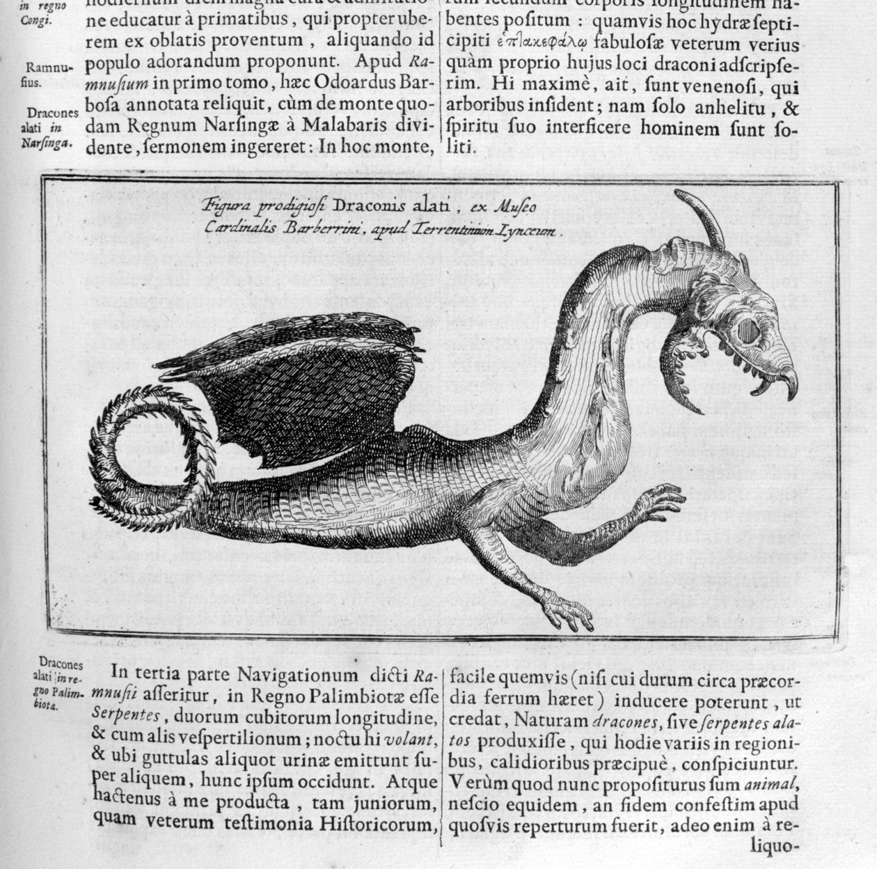 Drak, 1678 od Athanasius Kircher