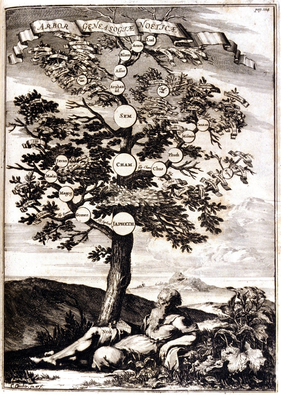 Genealogický strom Noe d