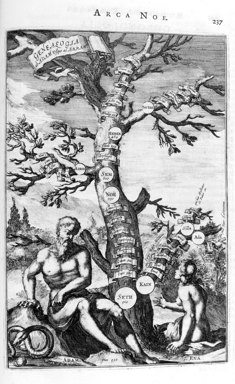 Rodokmen Adamův, 1675. od Athanasius Kircher