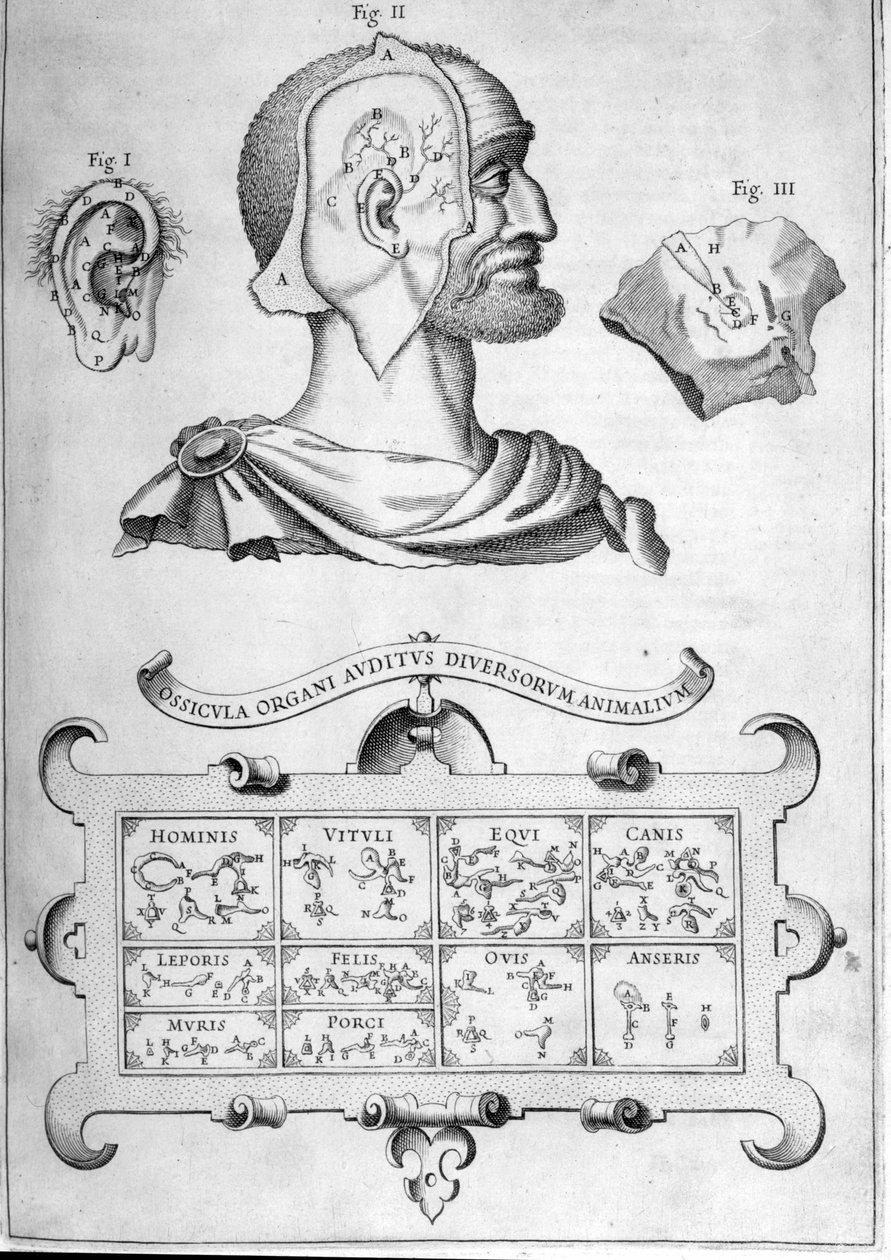 Závěsný od Athanasius Kircher