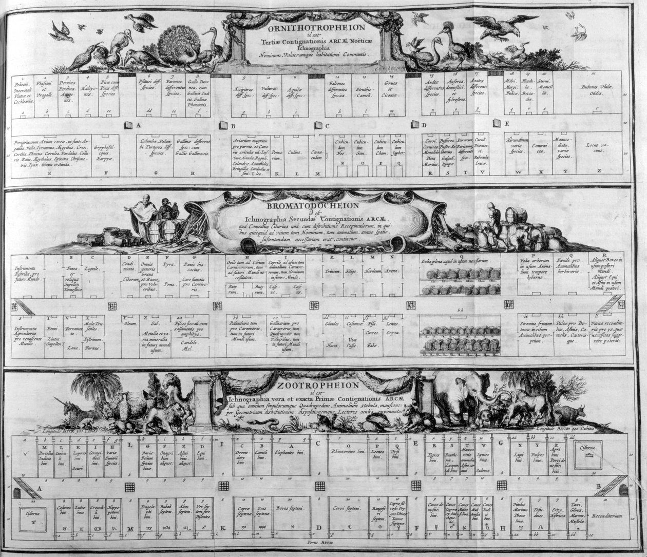 Tabulka druhů, 1765. od Athanasius Kircher