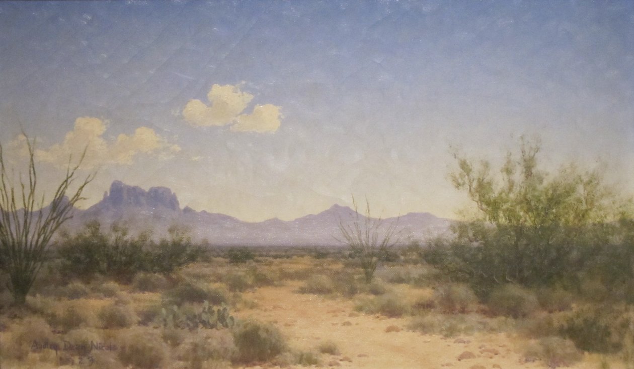 Krajina Sunlandu od Audley Dean Nicols