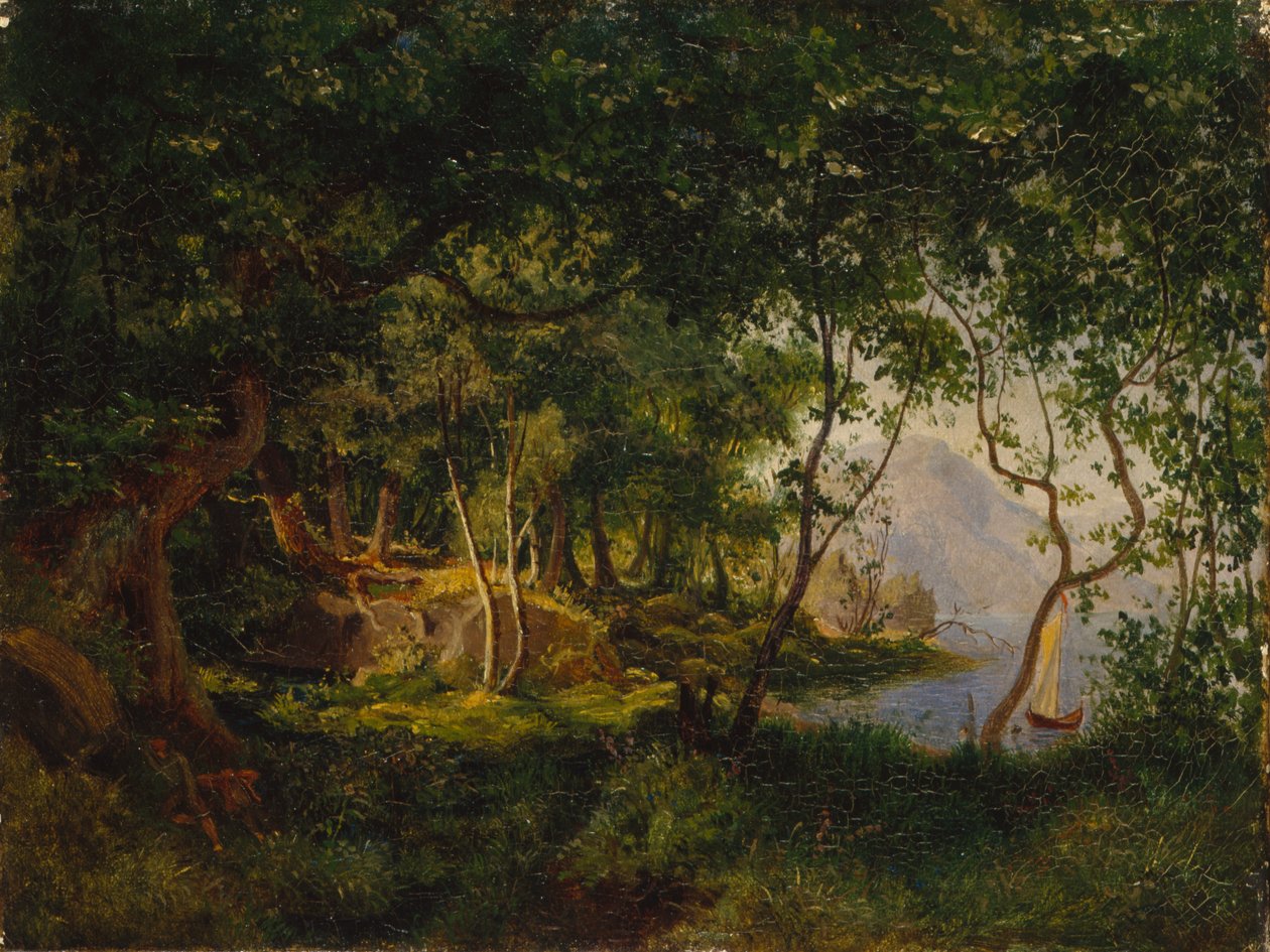 Krajinná studie od August Cappelen