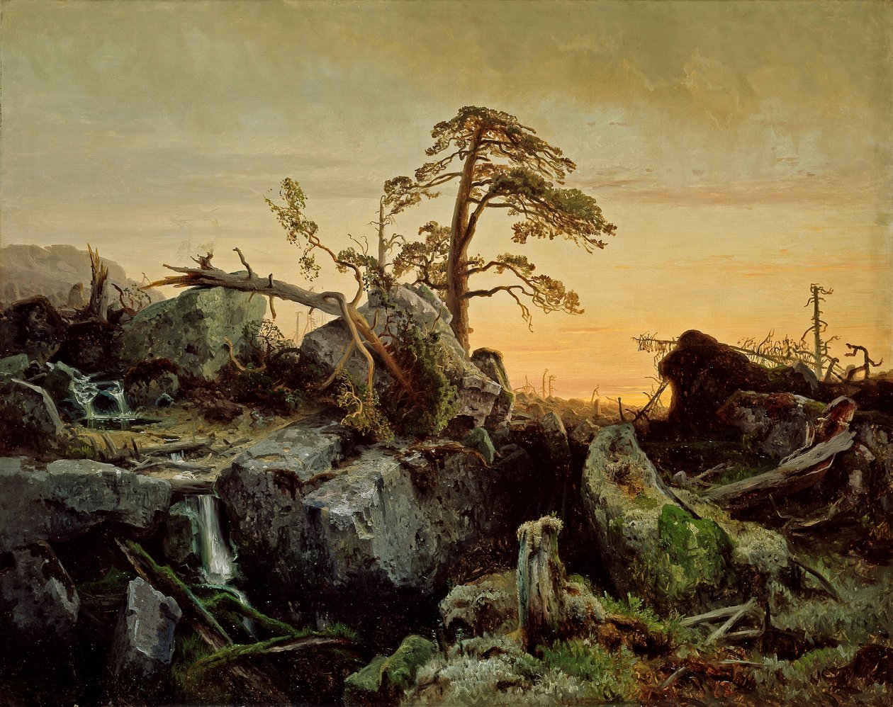 Umírající džungle od August Cappelen