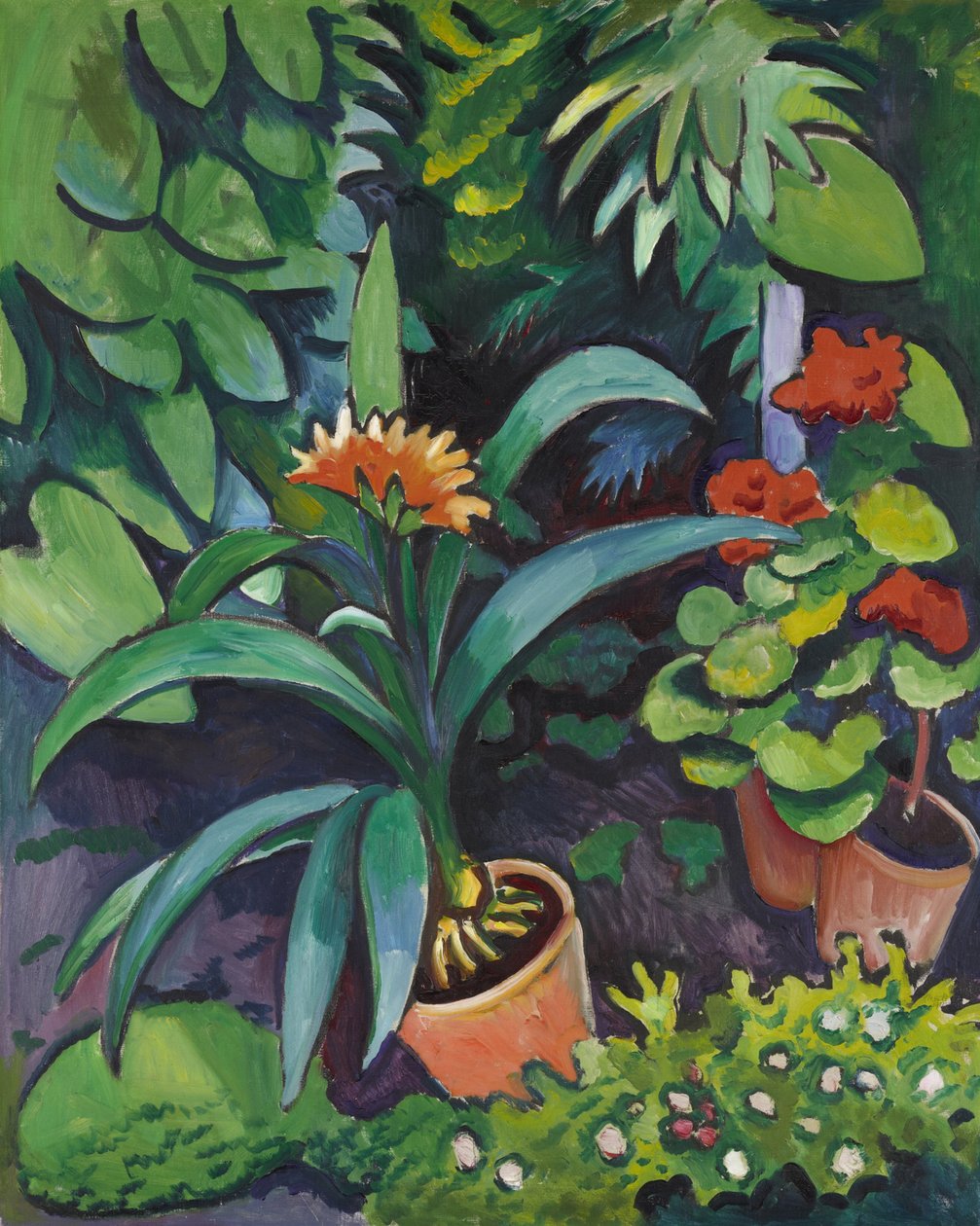 Květiny v zahradě, clivia a pelargonium od August Macke