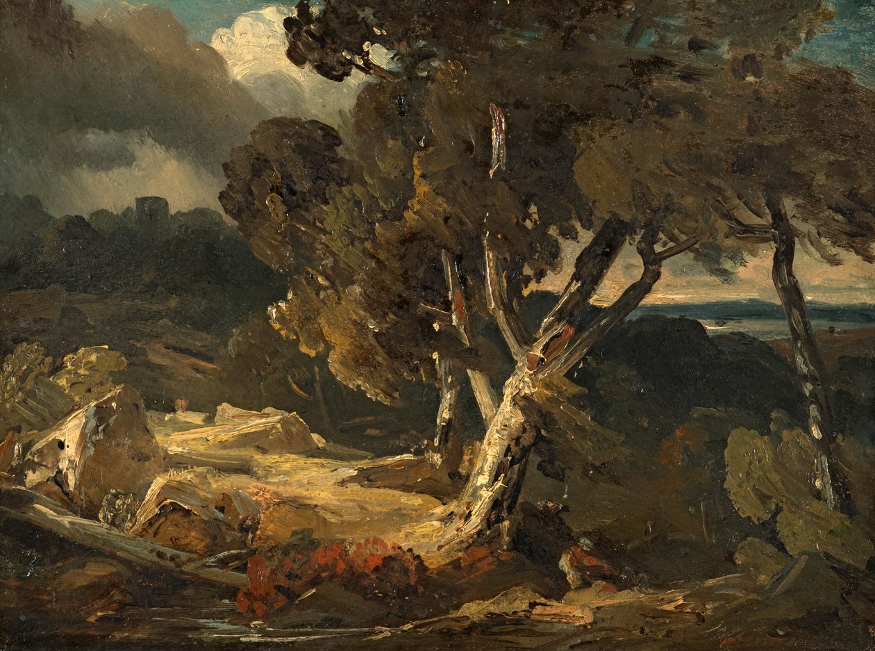 bouřková krajina od August Seidel
