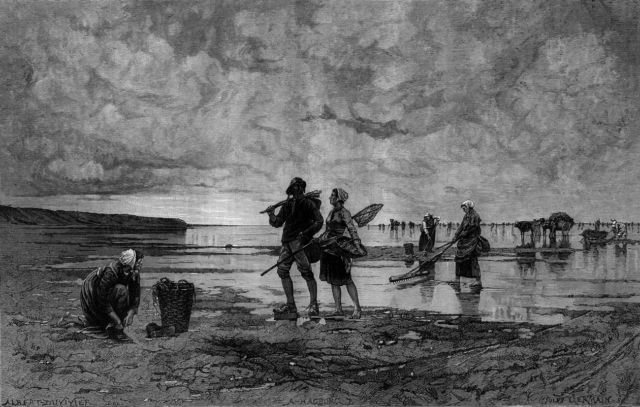 Velká klisna v kanálu La Manche (19. století): rybáři mušlí na pláži. Rytina podle obrazu Hagborga Augusta Wilhema Nikolause (1852-1921/1925) v „The Illustrous World“ n°1219 ze 7. srpna od August Wilhelm Nikolaus Hagborg