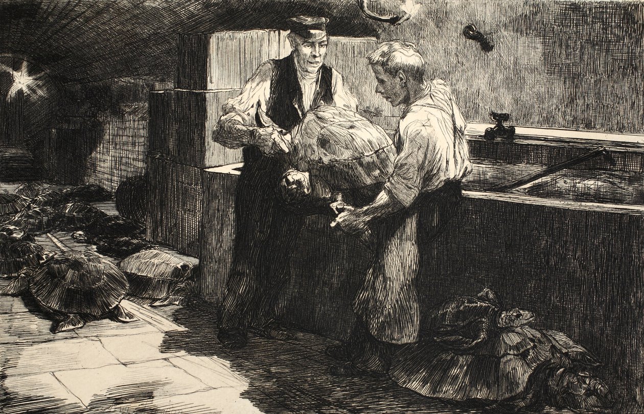 Ilustrace z 