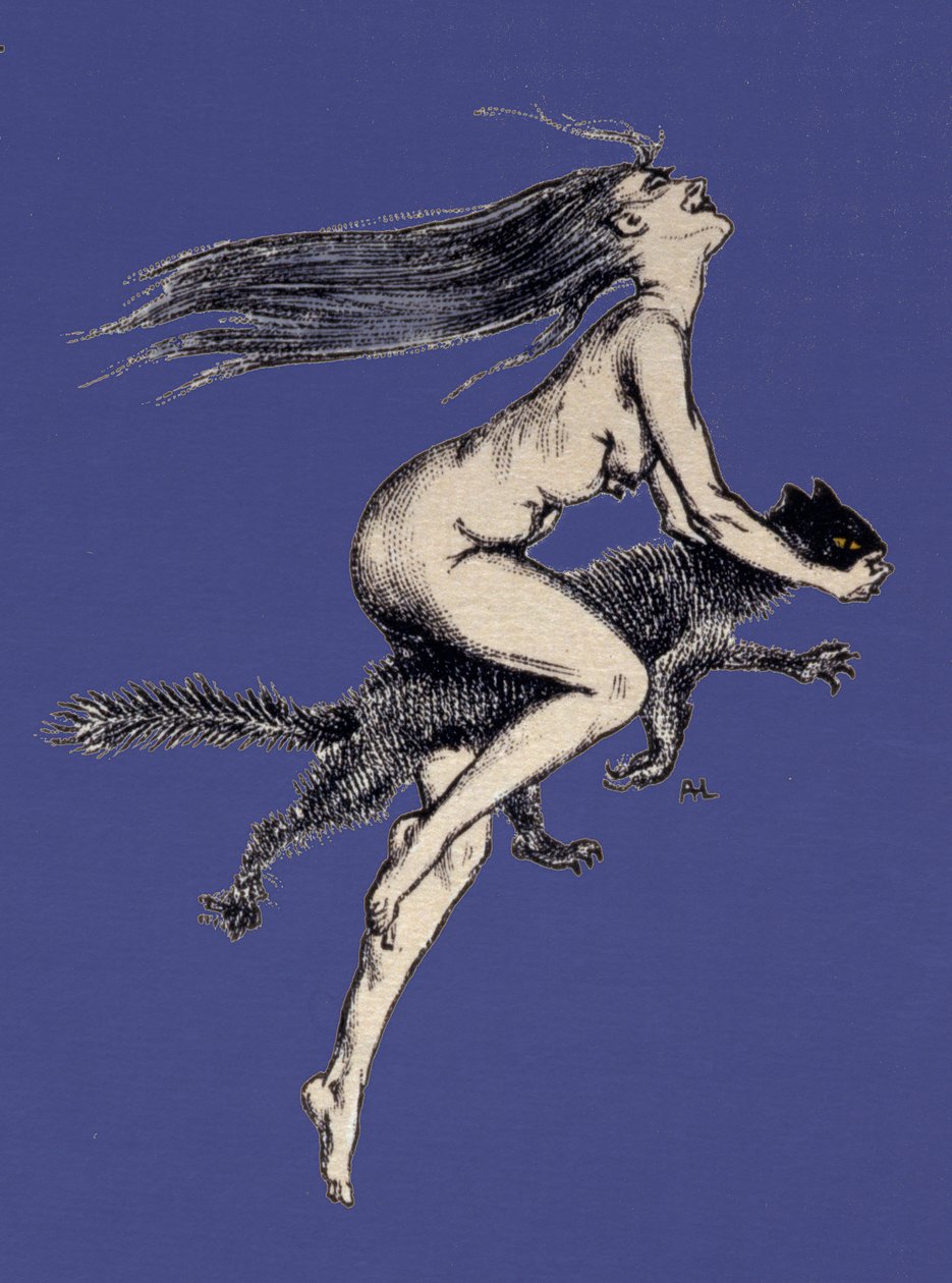 Ilustrace z knihy "A Rebours" od Jorise-Karla Huysmanse od Auguste (after) Leroux