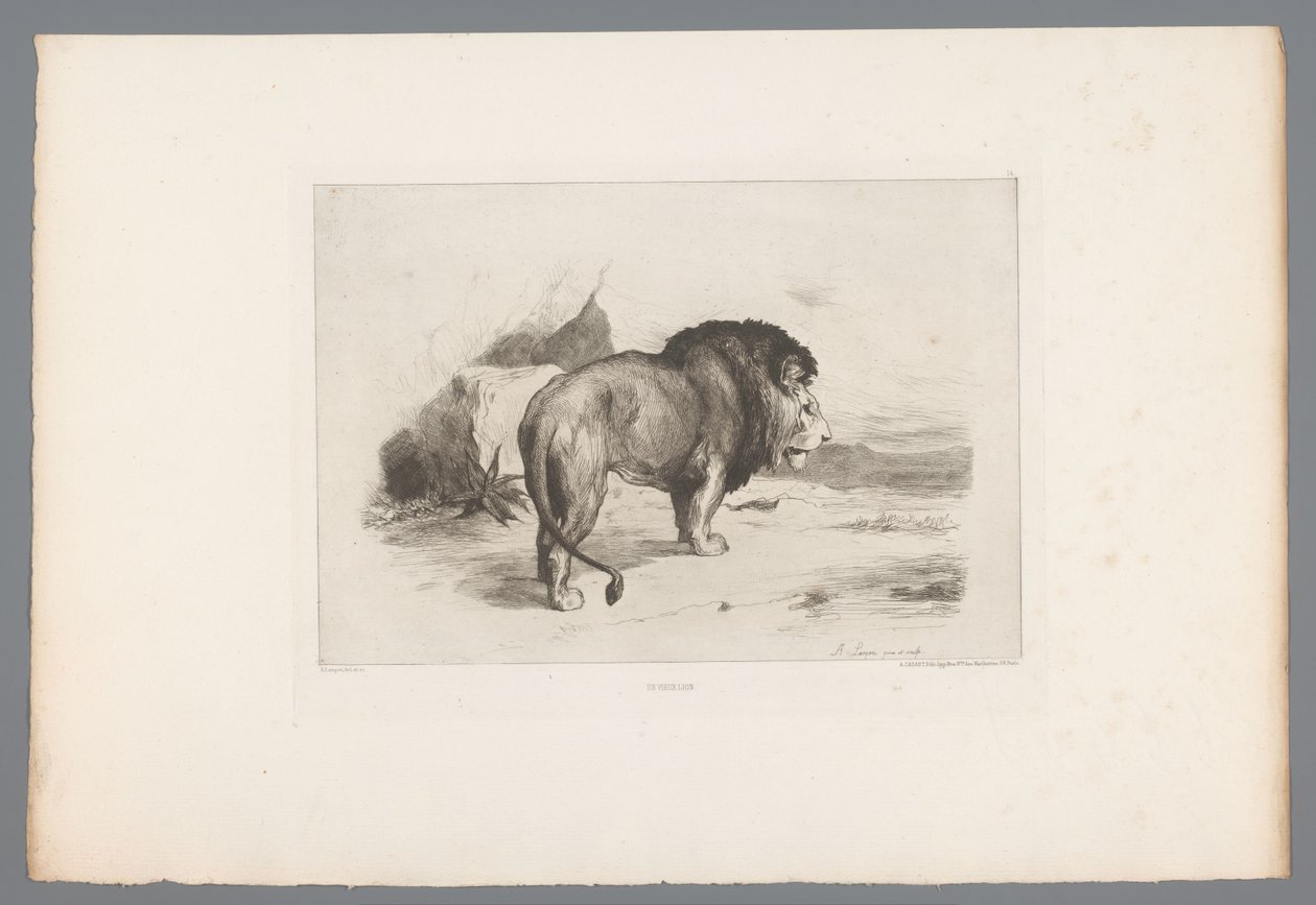 Lev Un vieux lion (název na objektu) Francouzské lepty z roku 1874 (název série) L