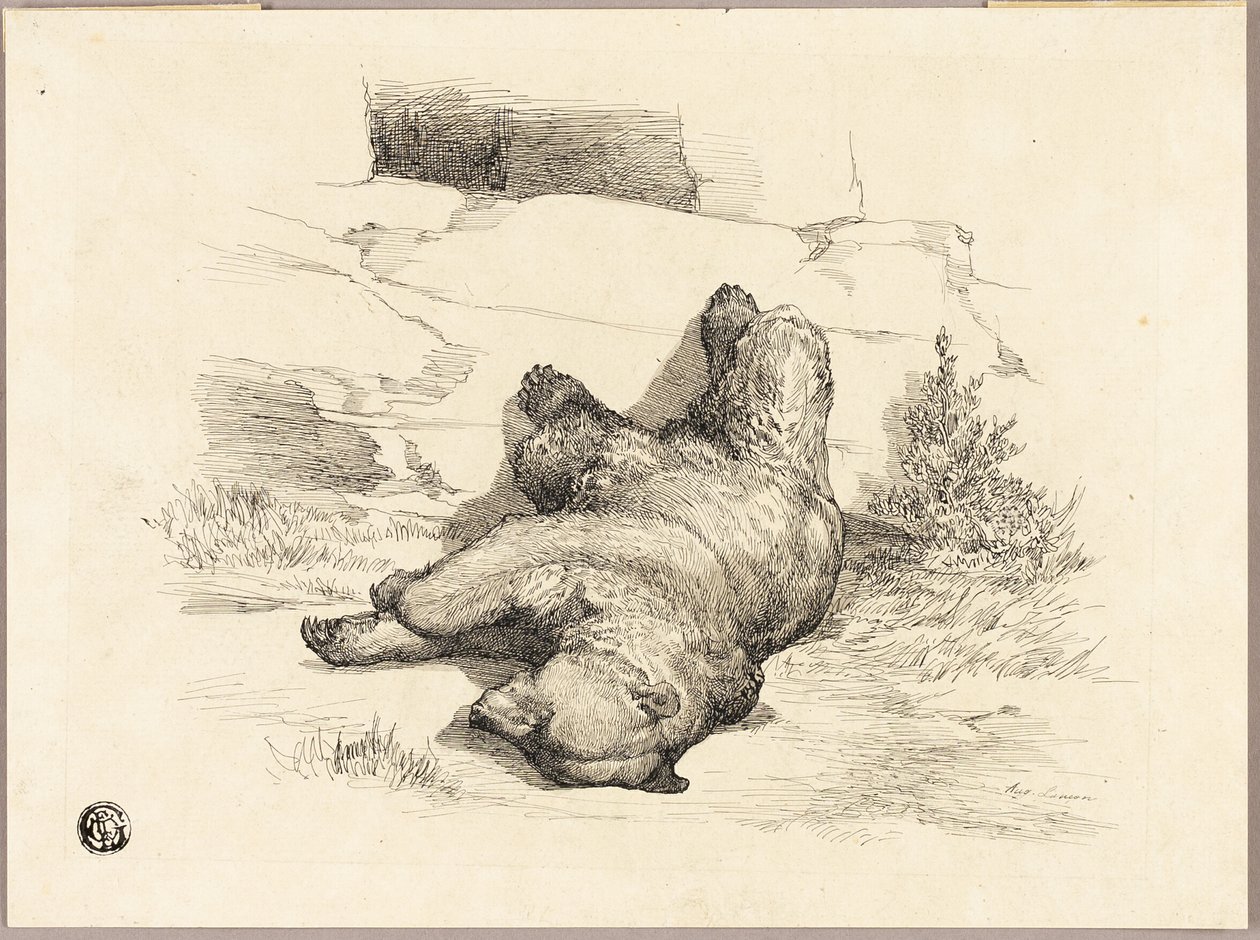 Ruský medvěd od Auguste Andre Lancon
