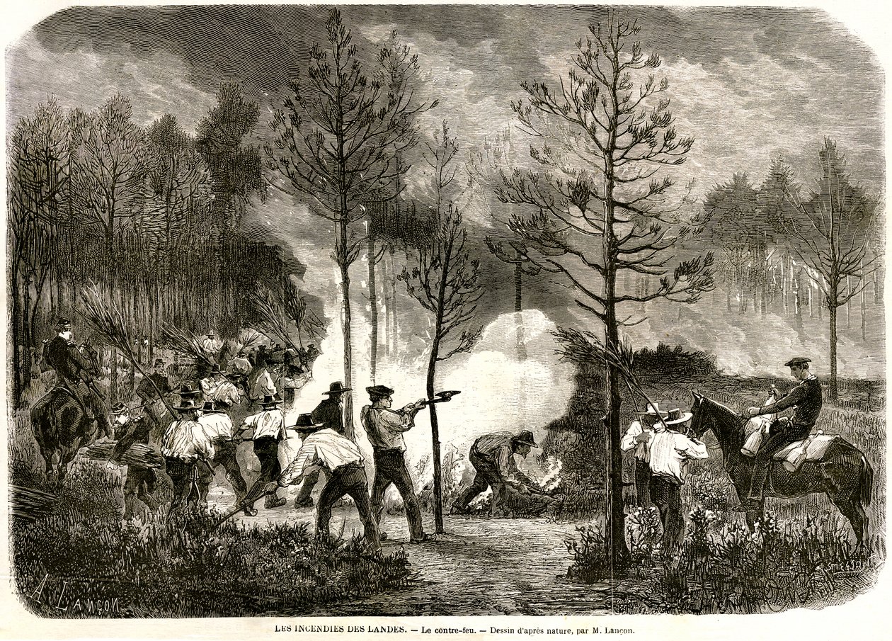 Velký oheň Landes, protipalba od Auguste Andre Lancon
