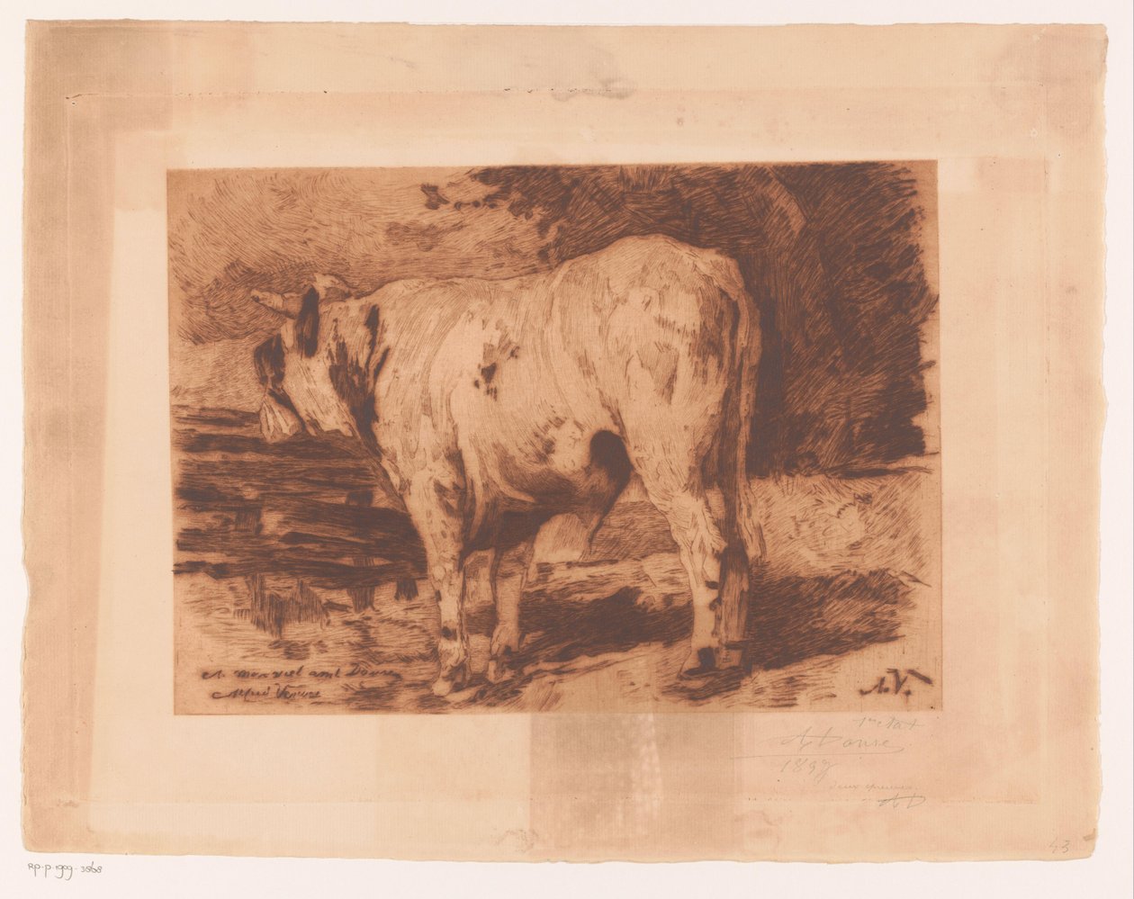STI a v mikro od Auguste Danse (signed by artist)