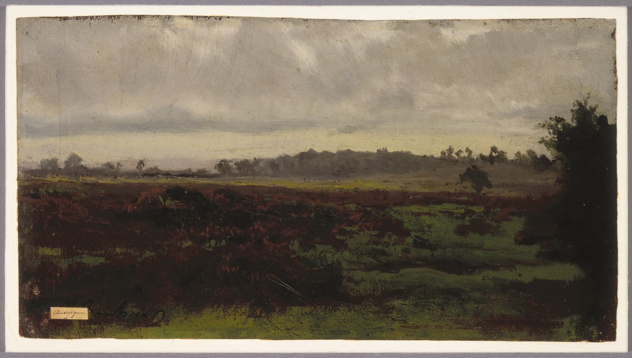 Marshlands, polovina 50. let 19. století (olej na papíře) od Auguste Francois Bonheur