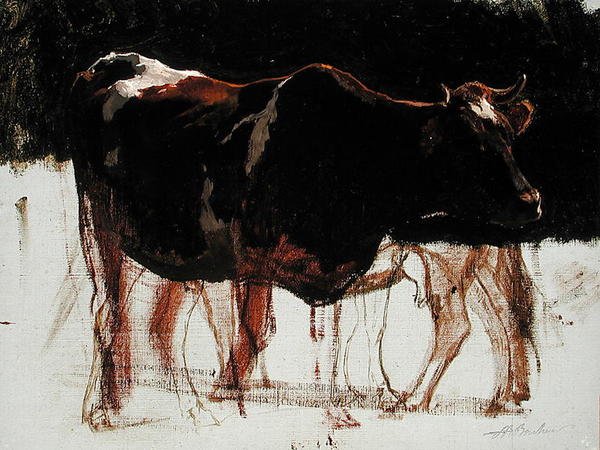 Studie skotu (olej na plátně) od Auguste Francois Bonheur