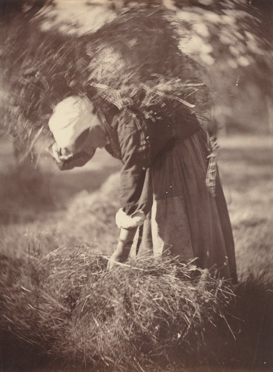 Sedlák, c. 1870. od Auguste Giraudon
